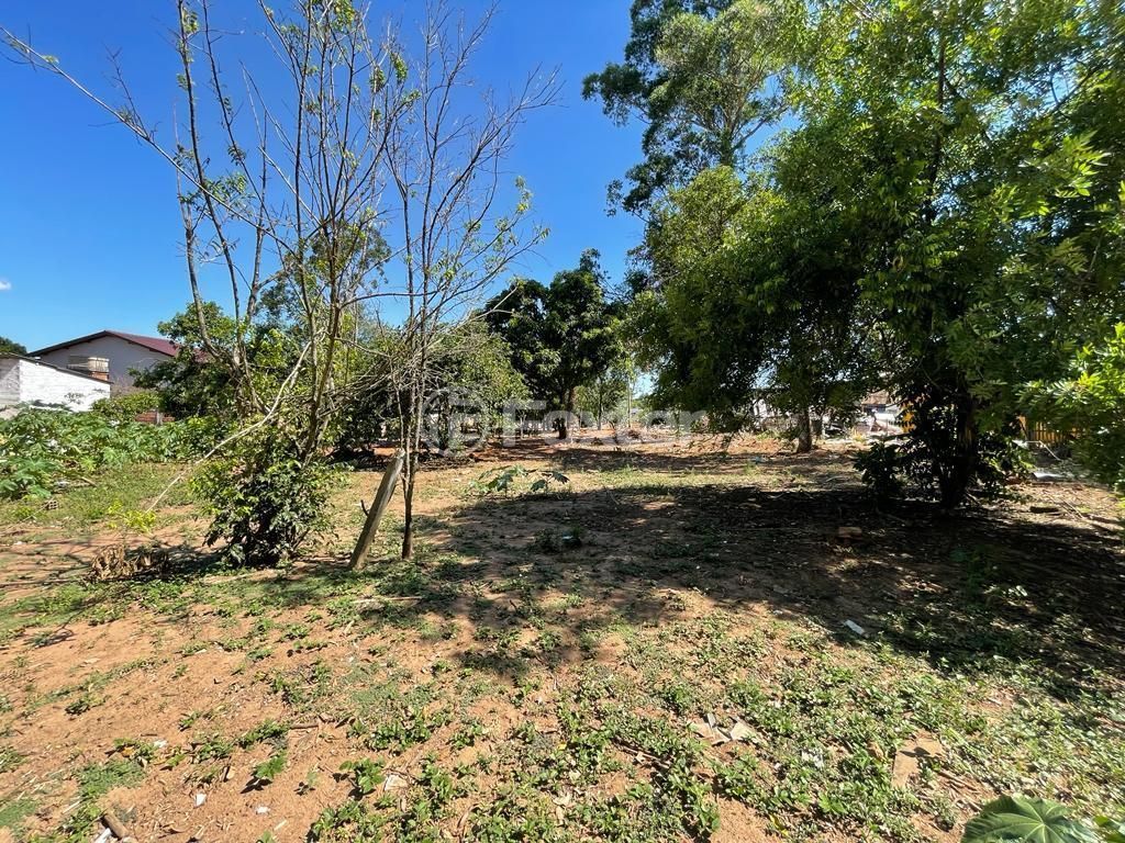 terreno lote condominio para comprar em Pedreira Itacolomi, 4459 - foto 12