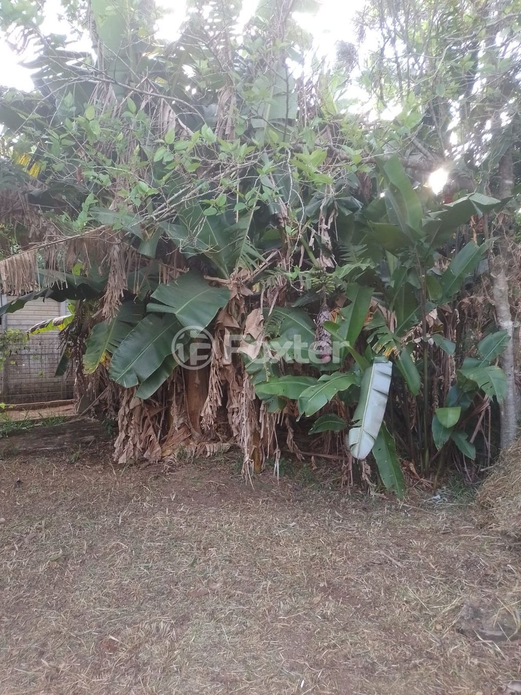 sitio chachara fazenda para comprar em das Pitangueiras, S/N - foto 26