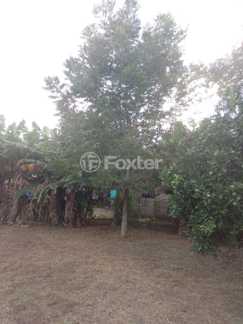 sitio chachara fazenda para comprar em das Pitangueiras, S/N - foto 28