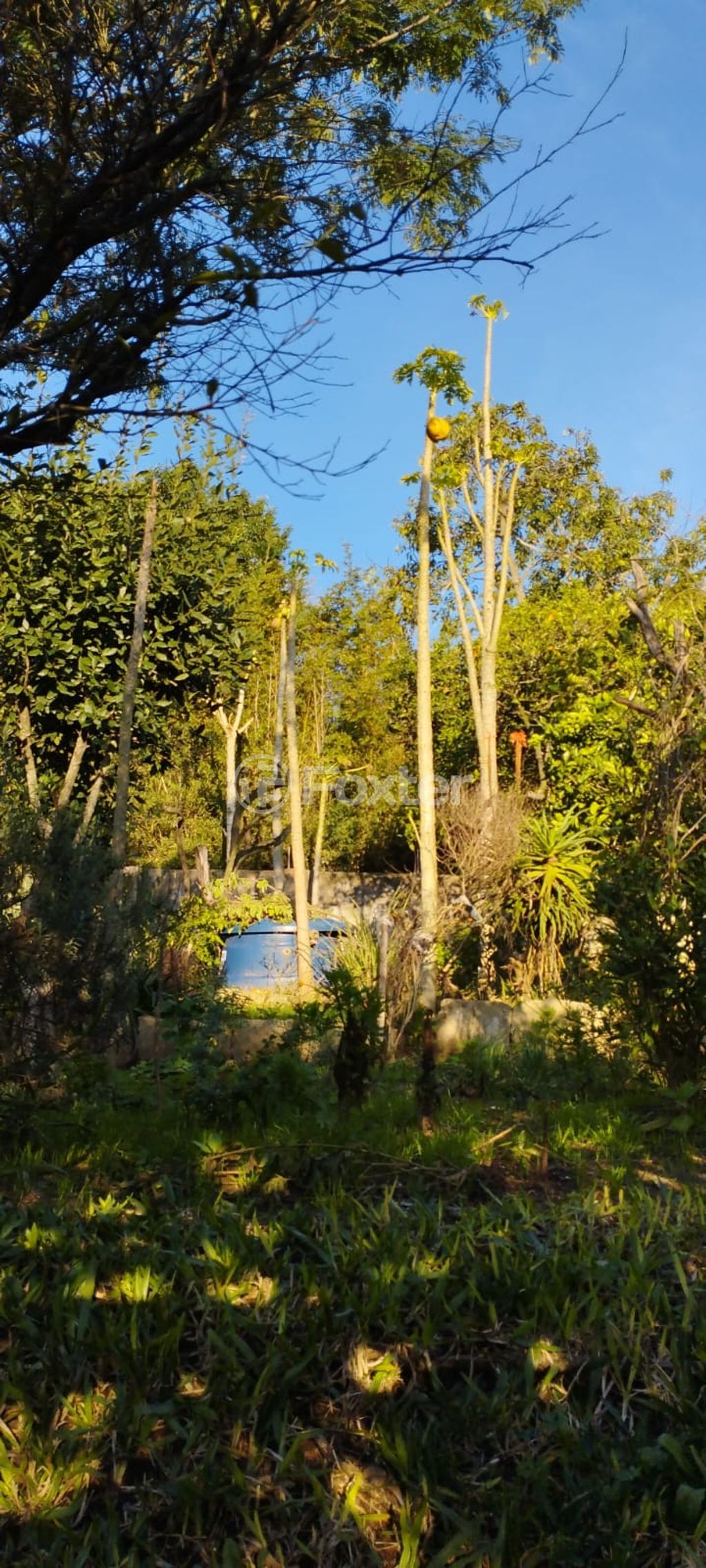 casa sobrado para comprar em Maneca Paiva, 204 - foto 18