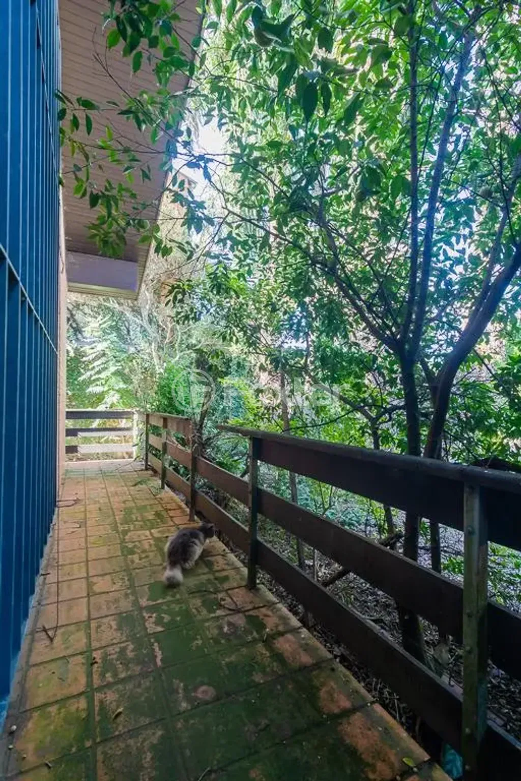 casa sobrado para comprar em Cai, 546 - foto 39