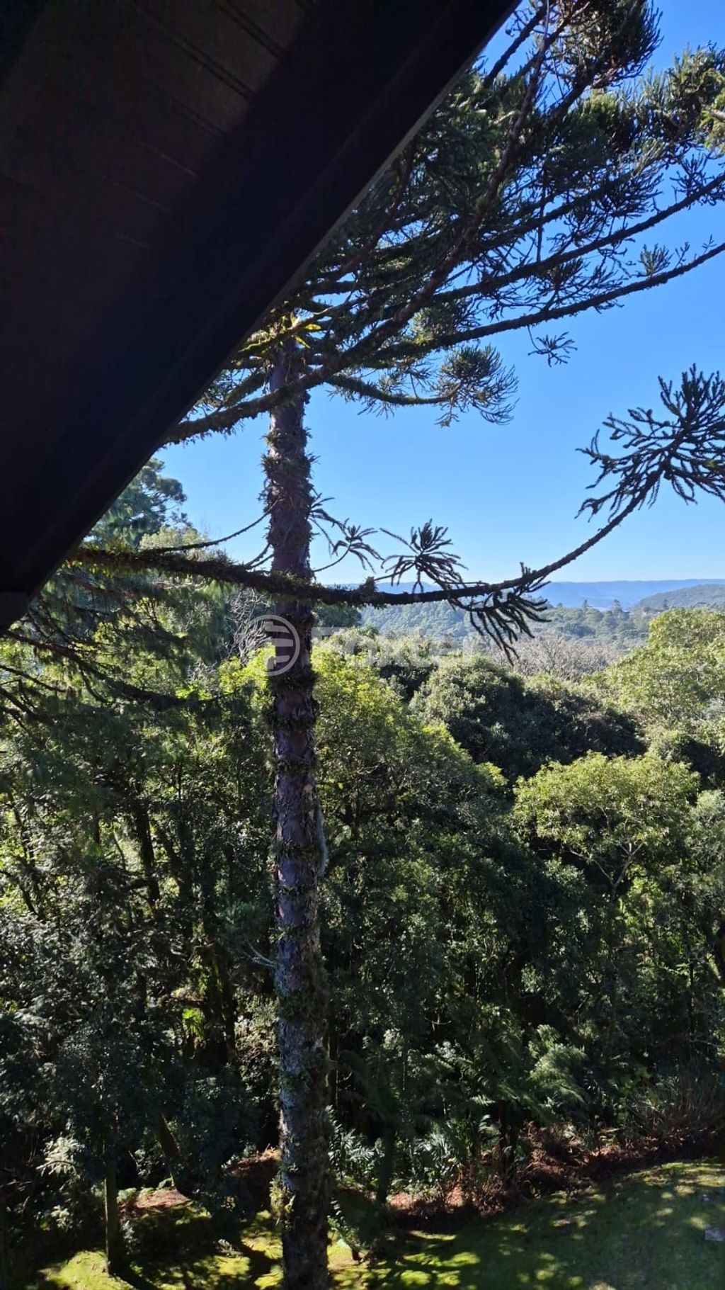 Apartamento para comprar em Ladeira das Azaleas, 21 - foto 29