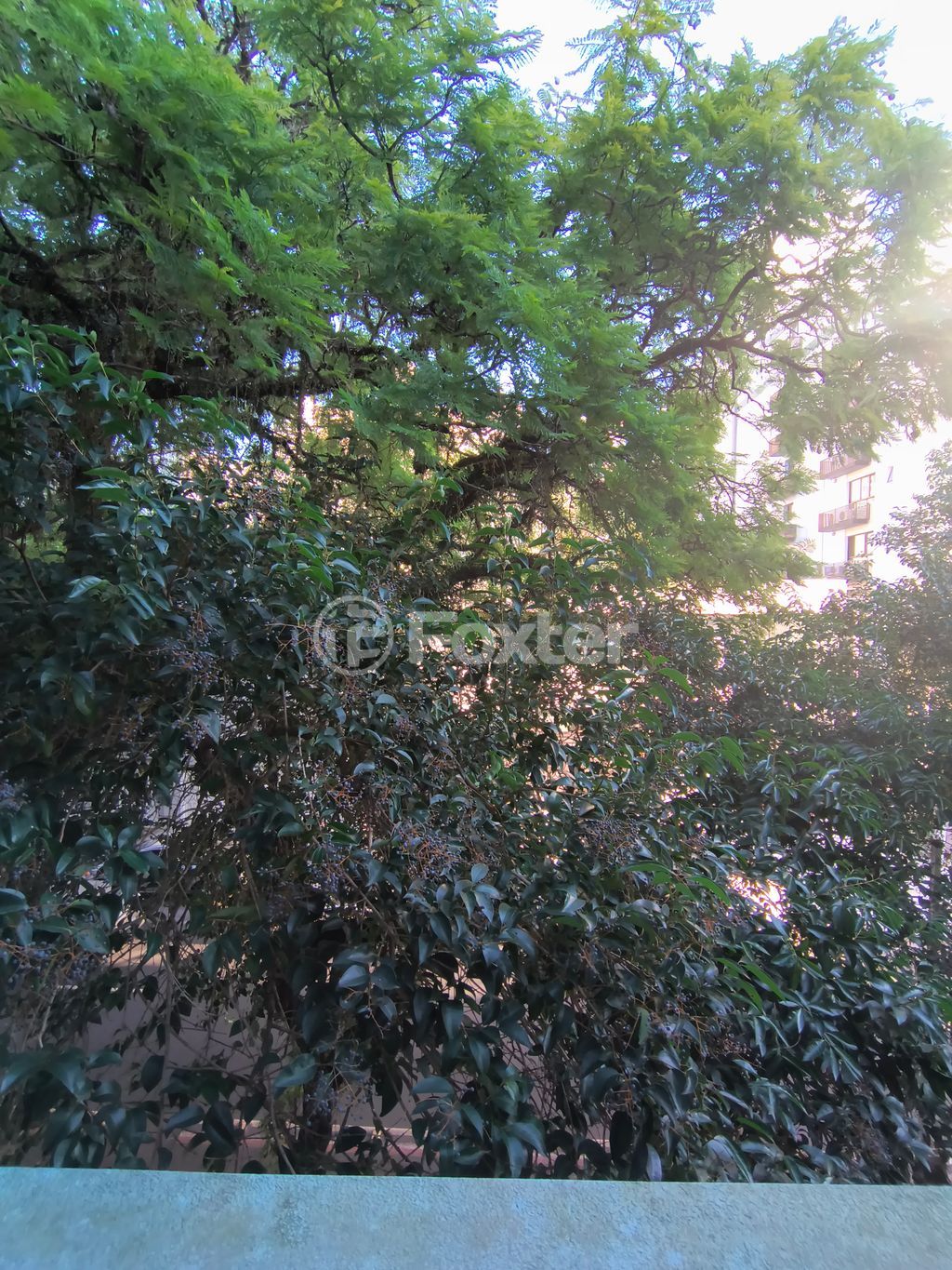 Apartamento para comprar em Eudoro Berlink, 366 - foto 13