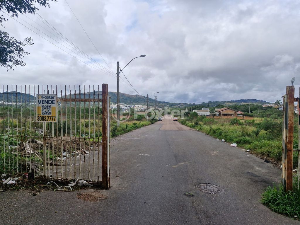 terreno lote condominio para comprar em Catarino Andreatta, 380 - foto 4