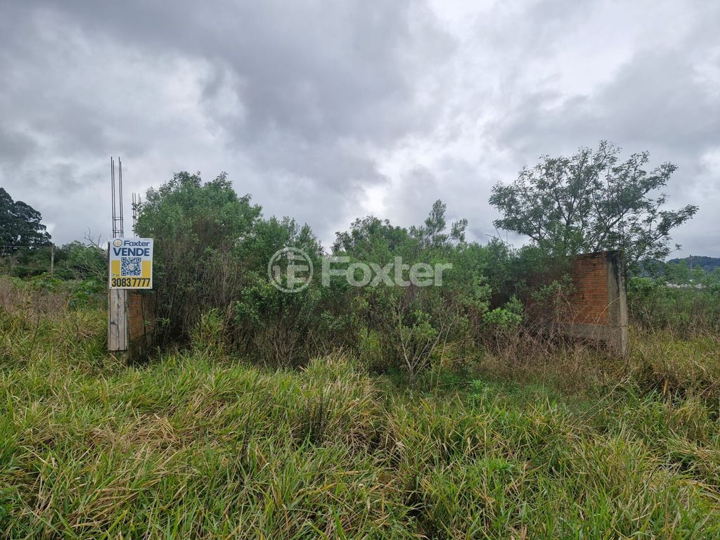 terreno lote condominio para comprar em Catarino Andreatta, 380 - foto 5