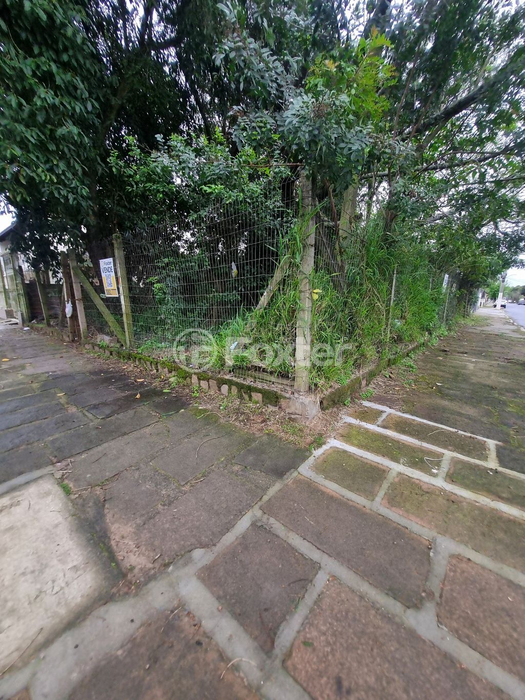 terreno lote condominio para comprar em Souza Melo, 100 - foto 5
