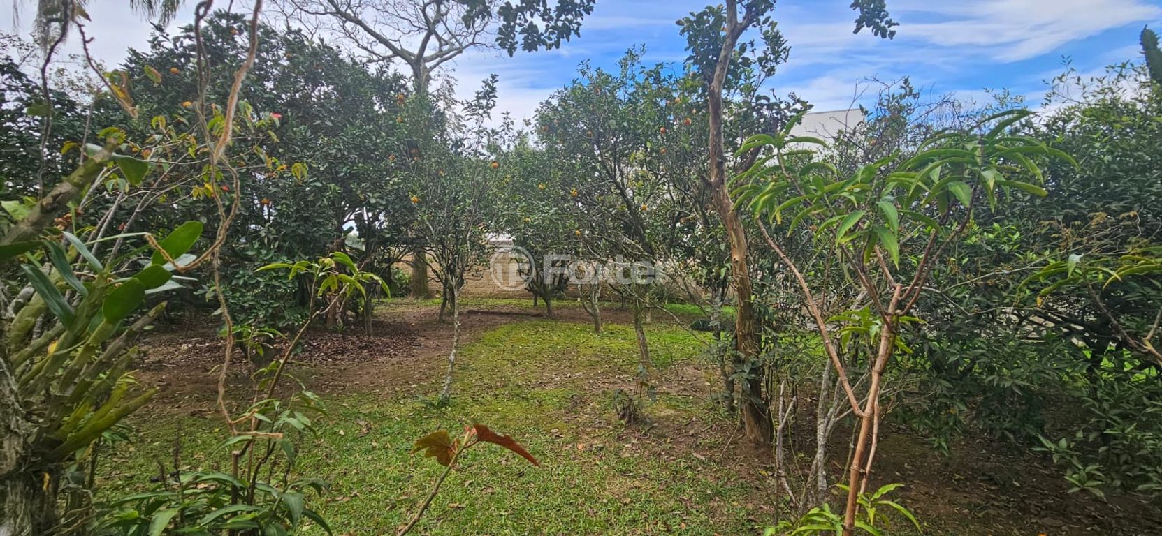 casa sobrado para comprar em Pedro de Oliveira França, 210 - foto 4
