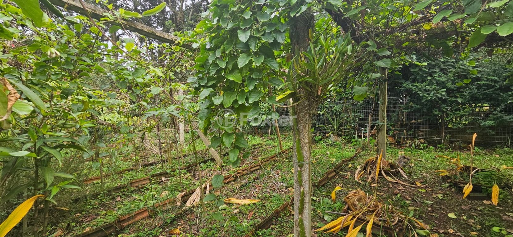 casa sobrado para comprar em Pedro de Oliveira França, 210 - foto 3