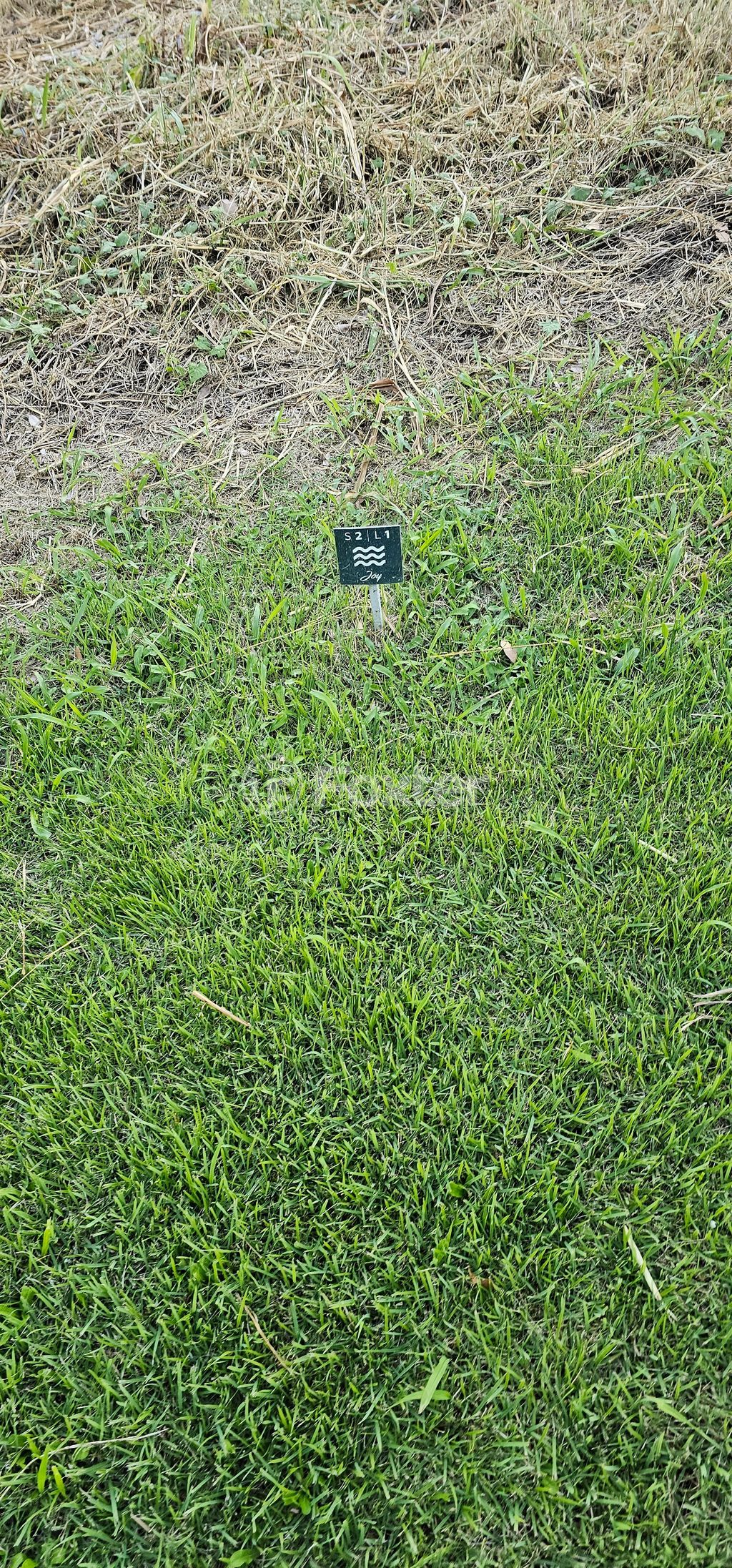 terreno lote condominio para comprar em Senador Salgado Filho, 5079 - foto 7