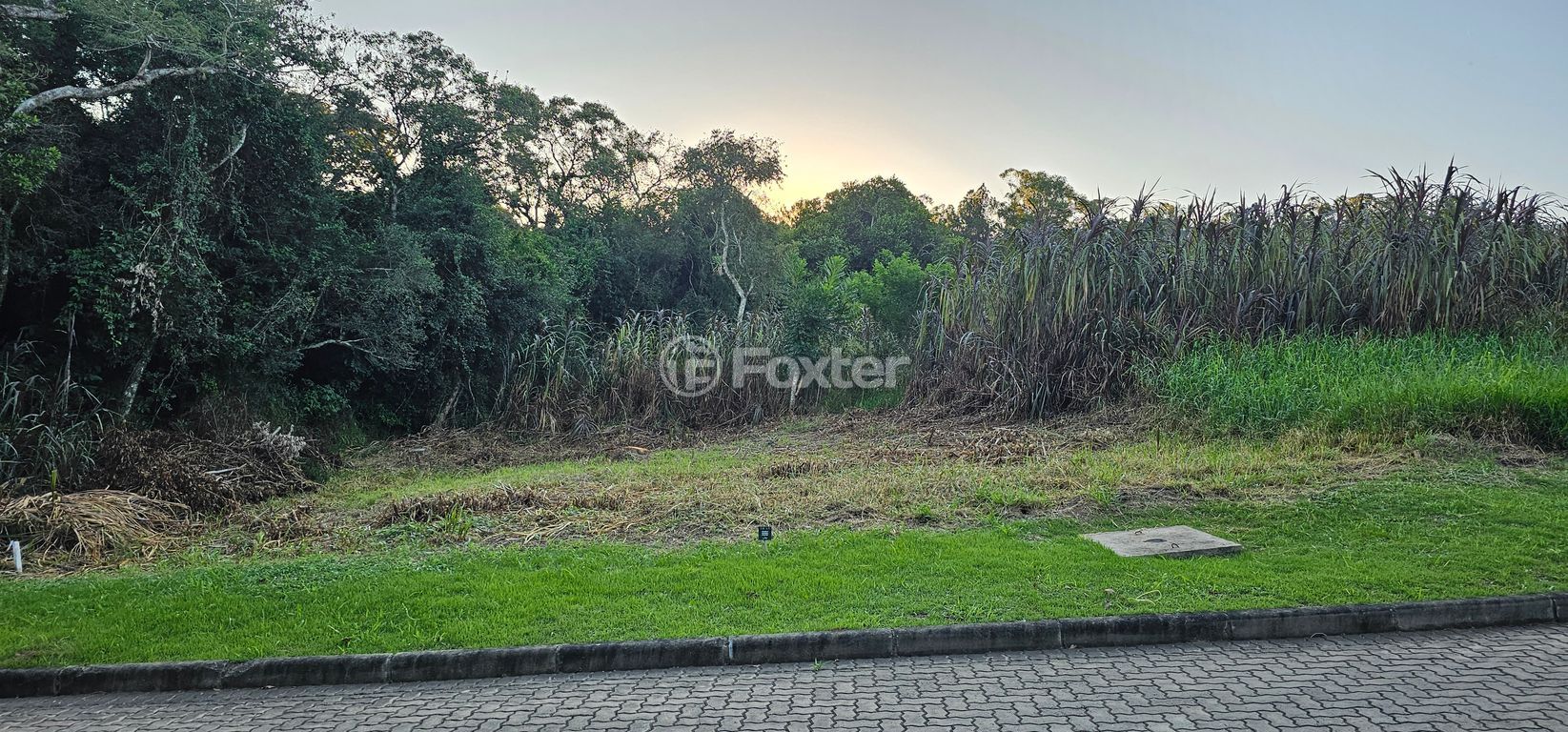 terreno lote condominio para comprar em Senador Salgado Filho, 5079 - foto 4