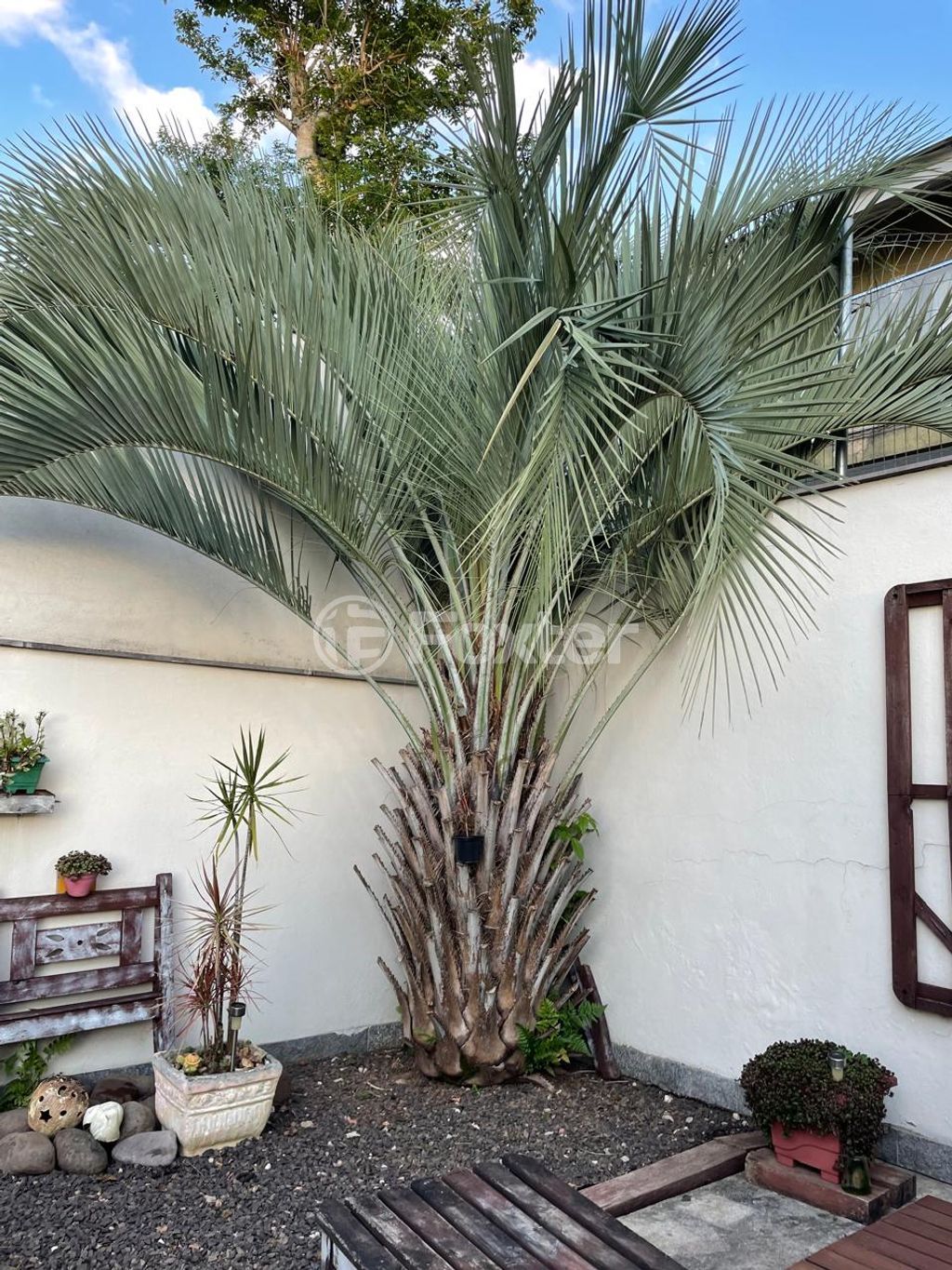 casa sobrado para comprar em Padre João Batista Reus, 525 - foto 18