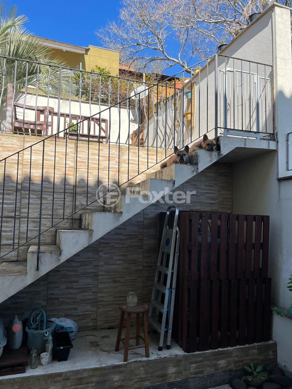 casa sobrado para comprar em Padre João Batista Reus, 525 - foto 19