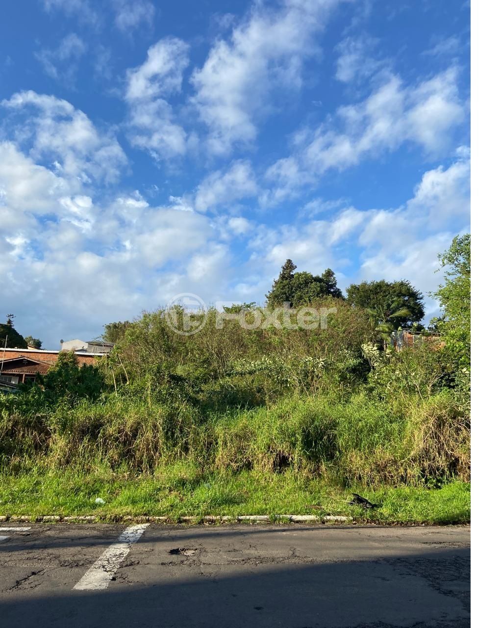 terreno lote condominio para comprar em Ipiranga, 115 - foto 7