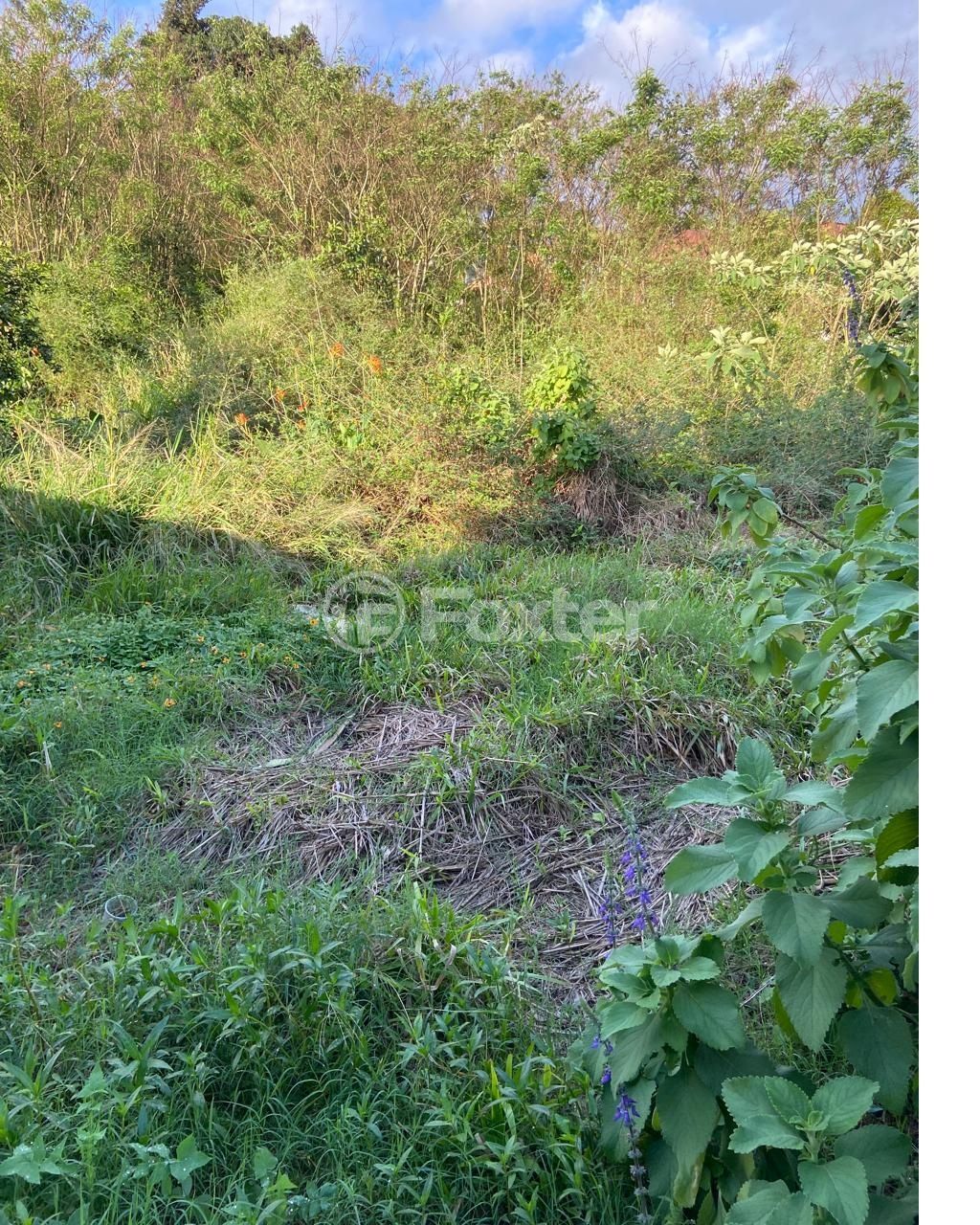 terreno lote condominio para comprar em Ipiranga, 115 - foto 6