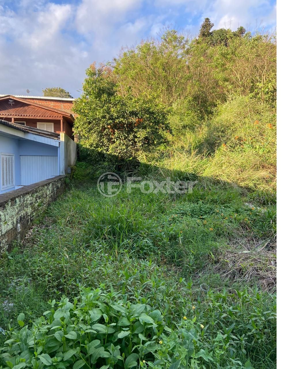terreno lote condominio para comprar em Ipiranga, 115 - foto 3