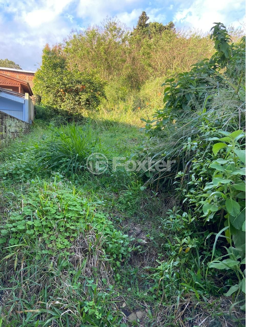 terreno lote condominio para comprar em Ipiranga, 115 - foto 4