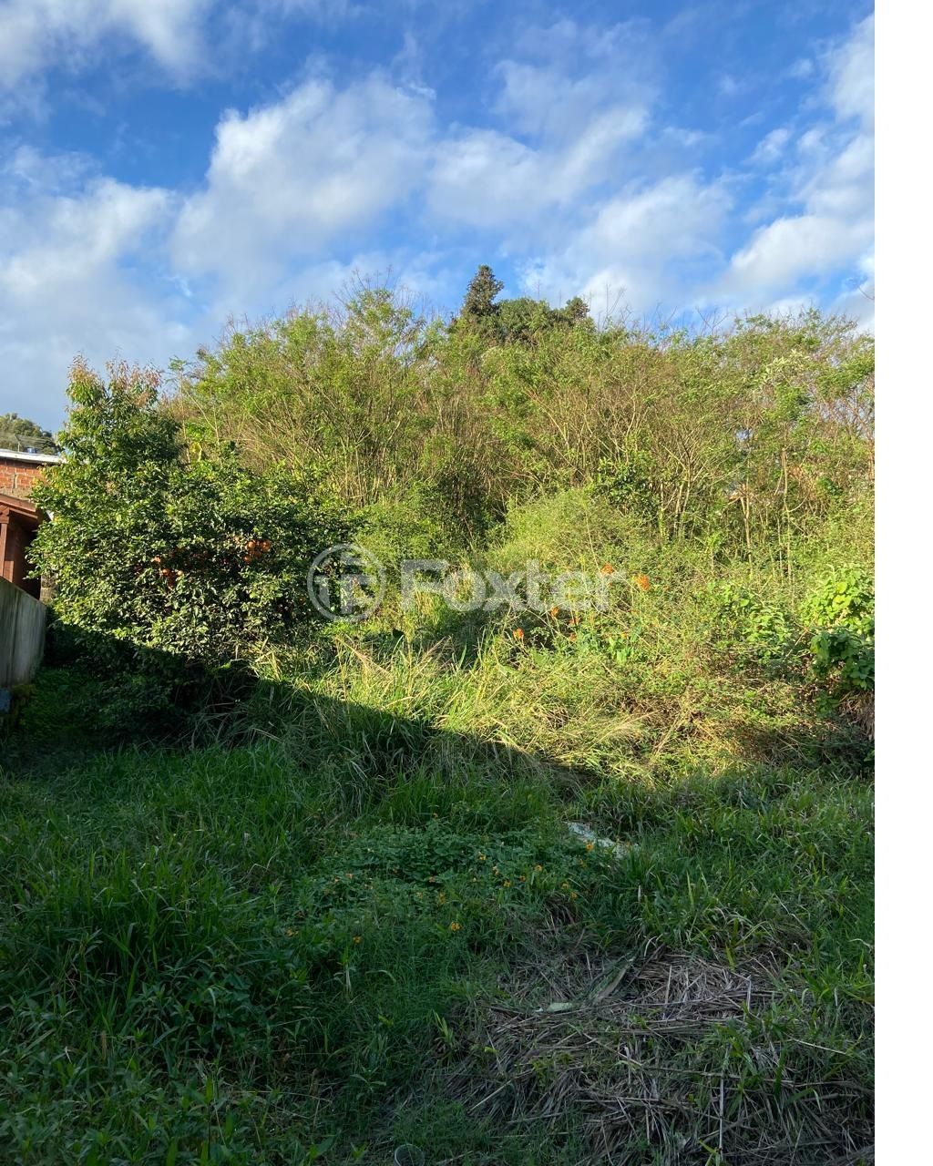 terreno lote condominio para comprar em Ipiranga, 115 - foto 5