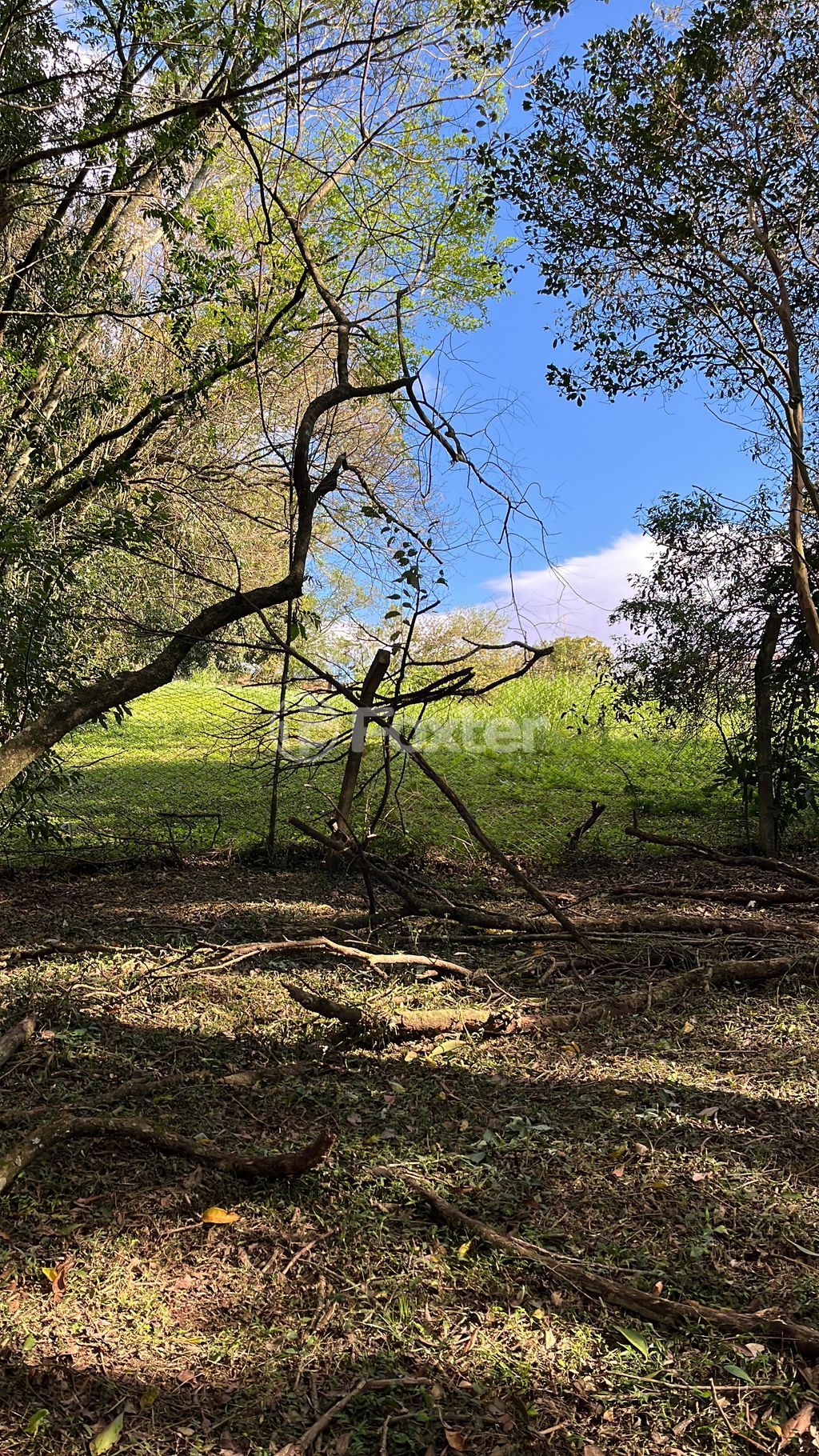 terreno lote condominio para comprar em Frederico Westphalen, S/N - foto 3