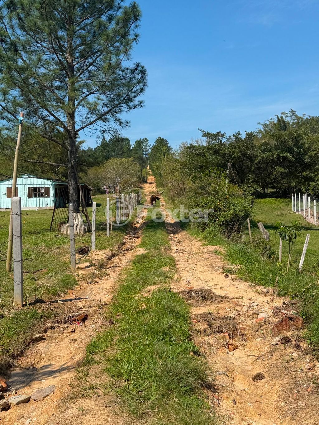 terreno lote condominio para comprar em São Caetano, 3777 - foto 3
