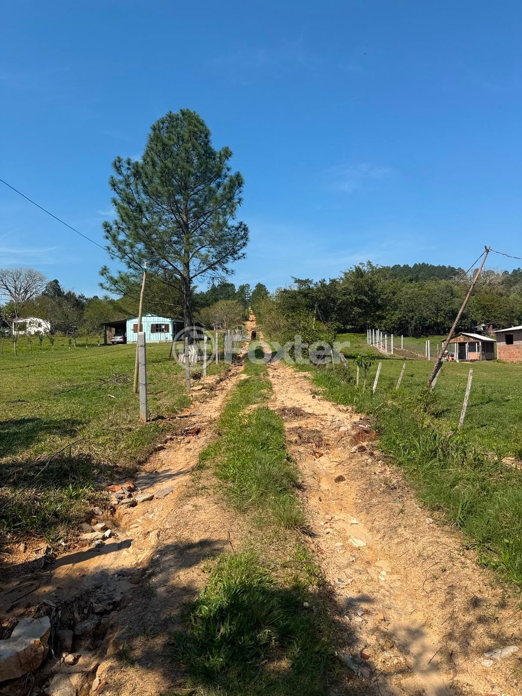terreno lote condominio para comprar em São Caetano, 3777 - foto 2