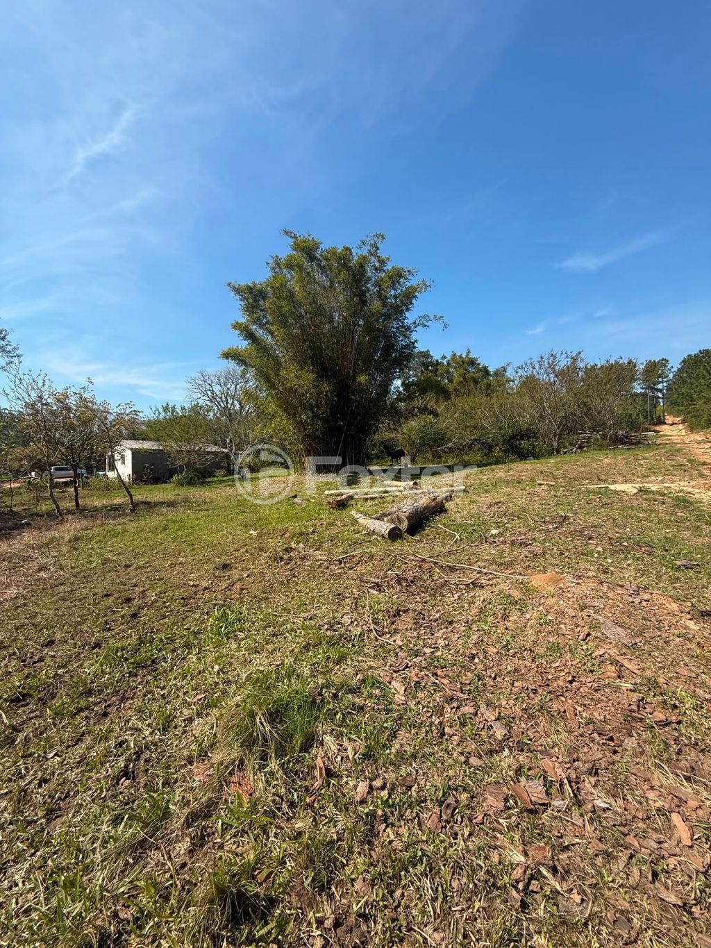 terreno lote condominio para comprar em São Caetano, 3777 - foto 6