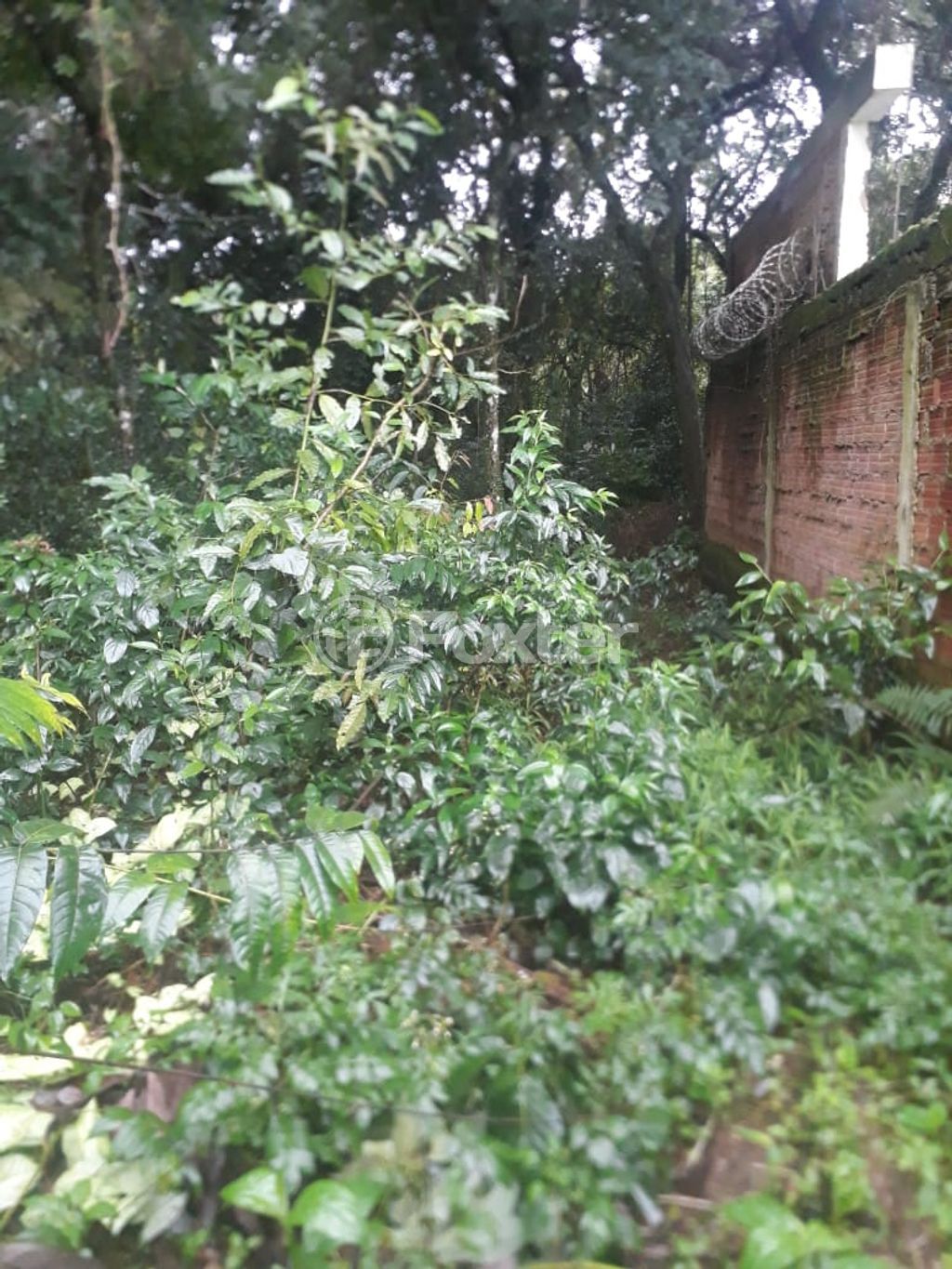 terreno lote condominio para comprar em Palermo, 23 - foto 6