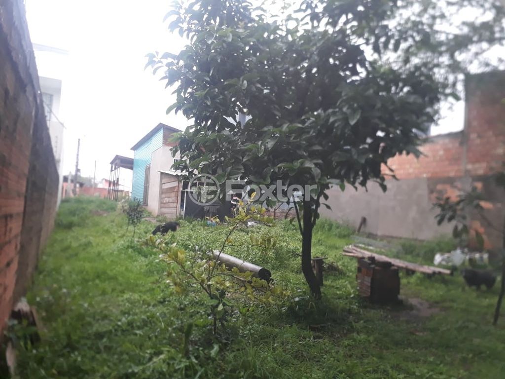 terreno lote condominio para comprar em Palermo, 23 - foto 3