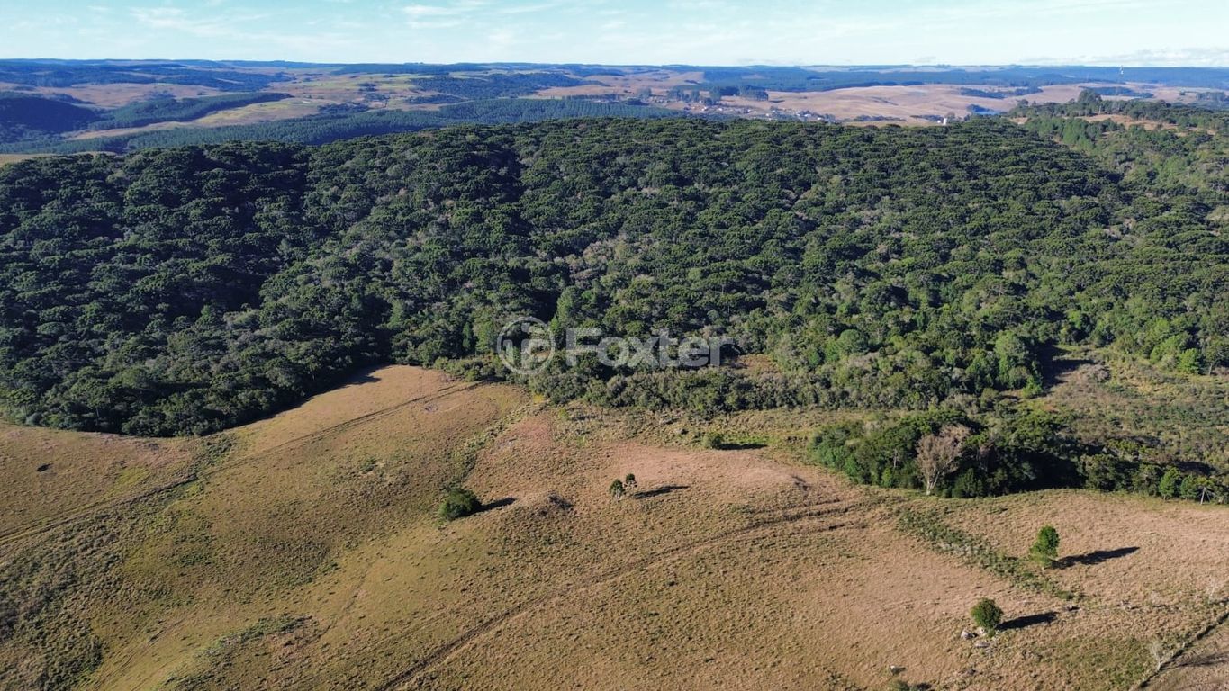 sitio chachara fazenda para comprar em Barragem do Salto, São Francisco de Paula - foto 1