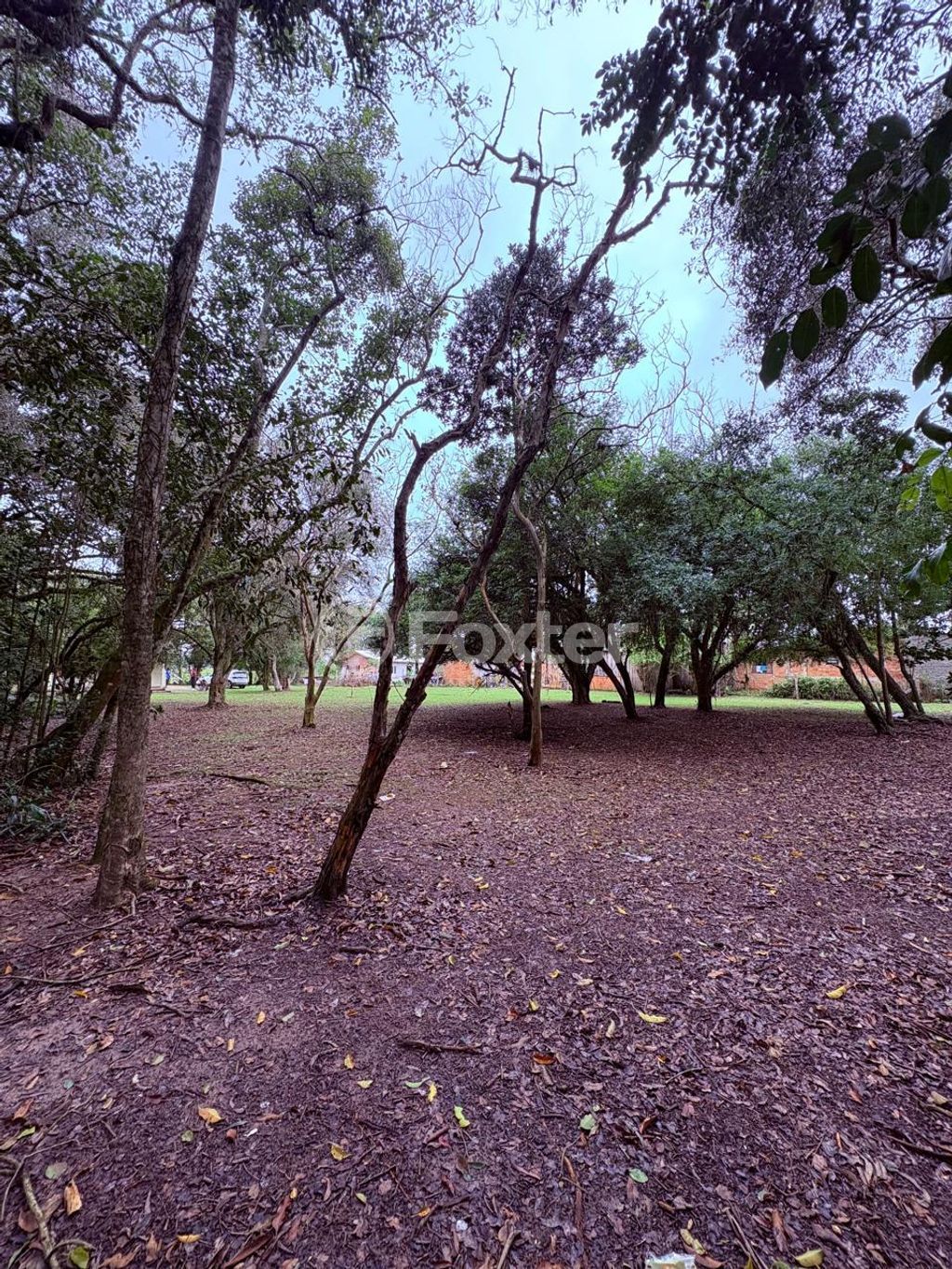 sitio chachara fazenda para comprar em do Varejão, 437 - foto 7