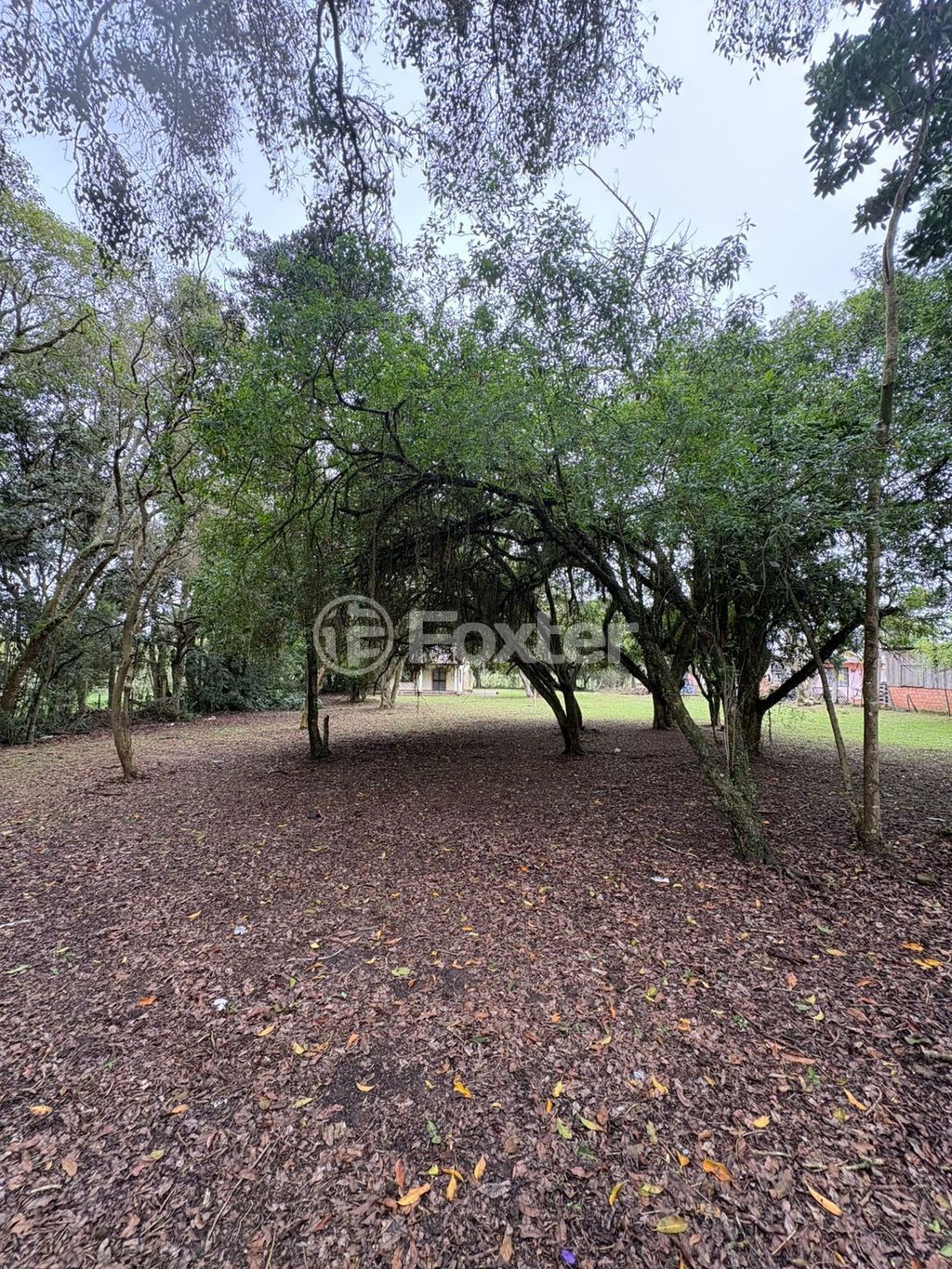 sitio chachara fazenda para comprar em do Varejão, 437 - foto 4