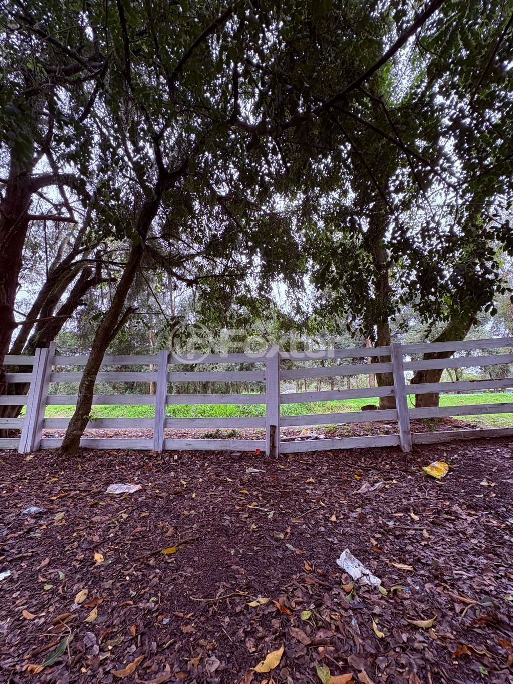sitio chachara fazenda para comprar em do Varejão, 437 - foto 2