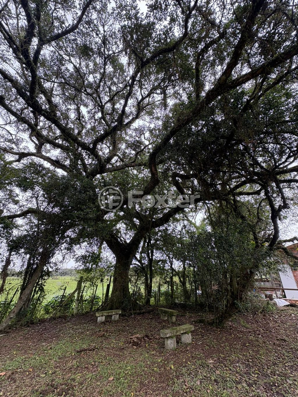 sitio chachara fazenda para comprar em do Varejão, 437 - foto 5