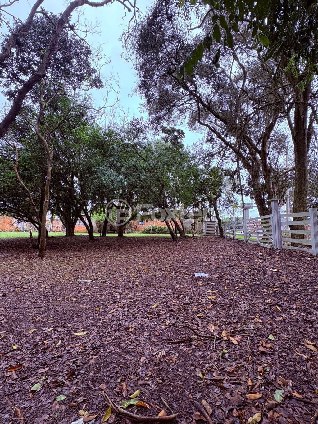 sitio chachara fazenda para comprar em do Varejão, 437 - foto 3
