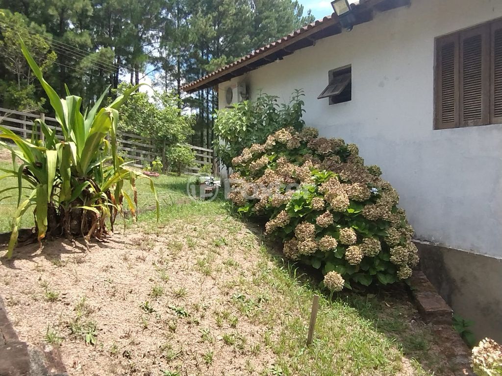 sitio chachara fazenda para comprar em Coronel Acrísio Martins Prates, 7914 - foto 20