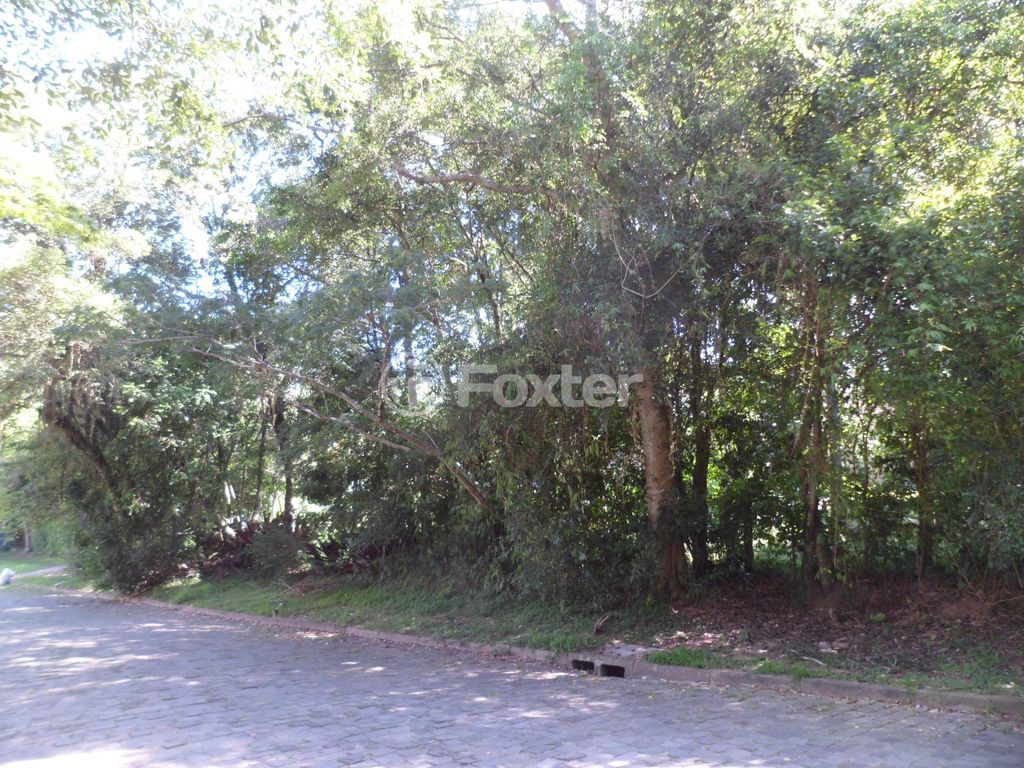 terreno lote condominio para comprar em Conselheiro Xavier da Costa, 1691 - foto 6