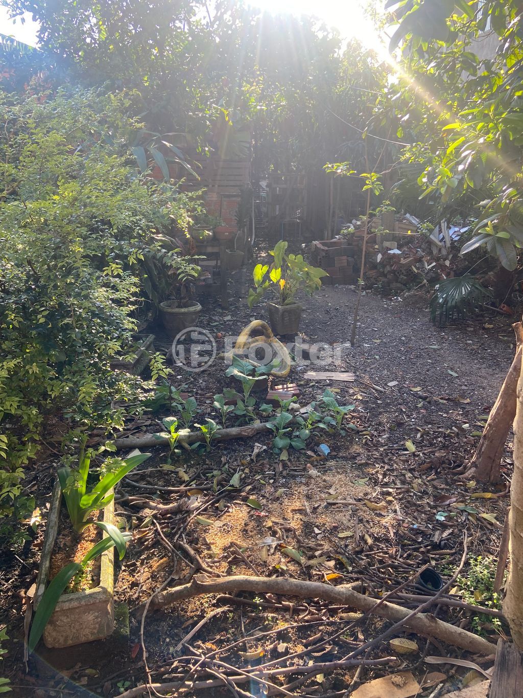 terreno lote condominio para comprar em São Jorge, Novo Hamburgo - foto 1
