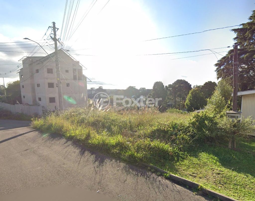 terreno lote condominio para comprar em Centro, São Francisco de Paula - foto 1