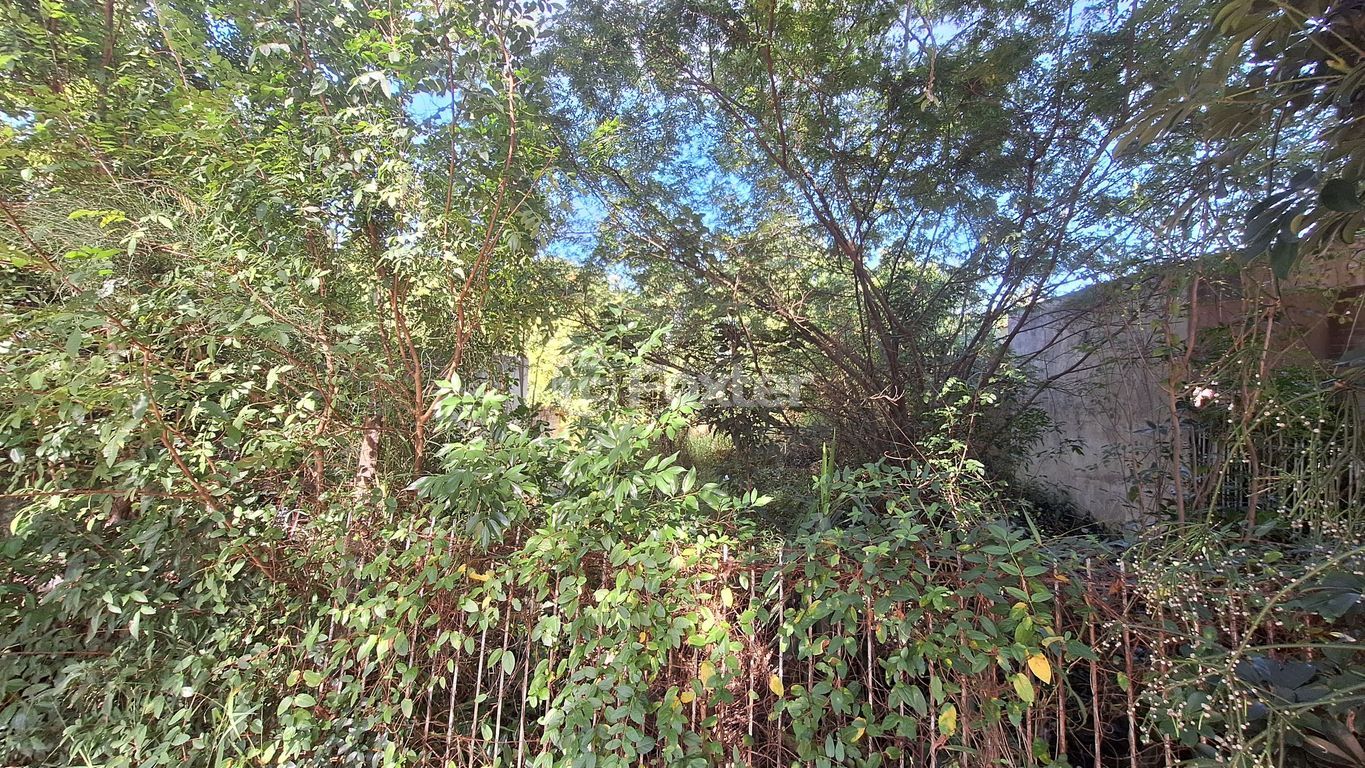 terreno lote condominio para comprar em Francisco Mattos Terres, 241 - foto 6