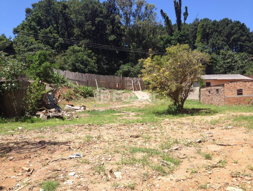 terreno lote condominio para comprar em VICENTE MONTEGGIA, 759 - foto 6
