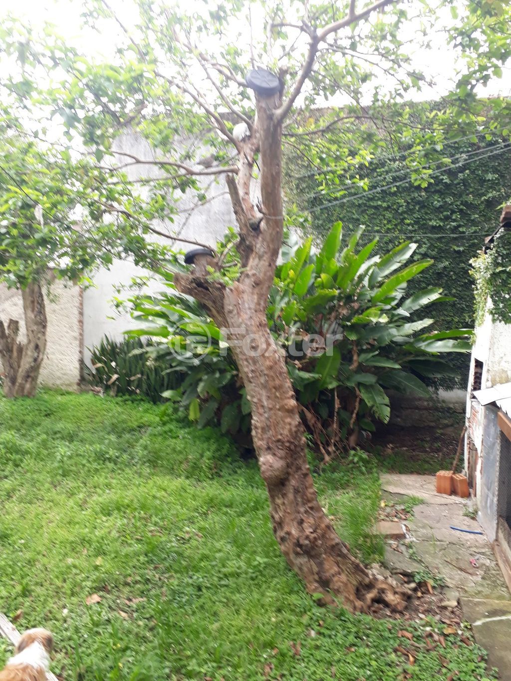 terreno lote condominio para comprar em Luzitana, 496 - foto 8