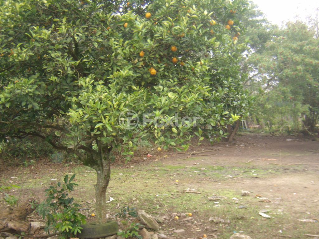 terreno lote condominio para comprar em Dom João Bosco, sul - foto 8