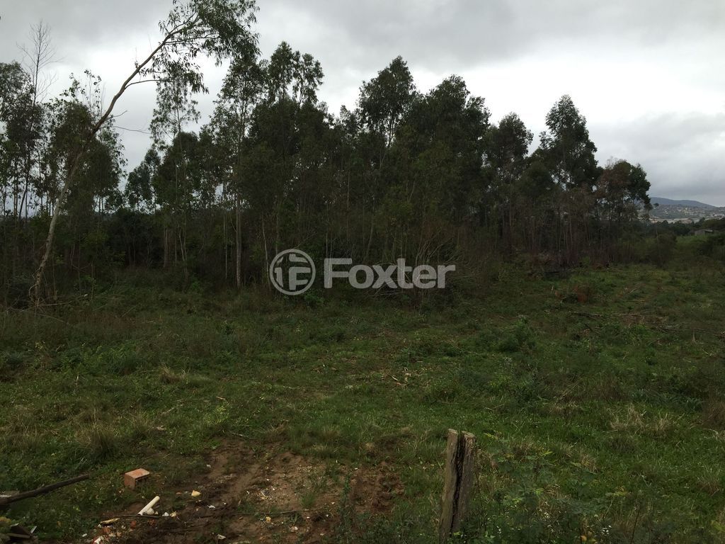 terreno lote condominio para comprar em do Rincão, 2820 - foto 7