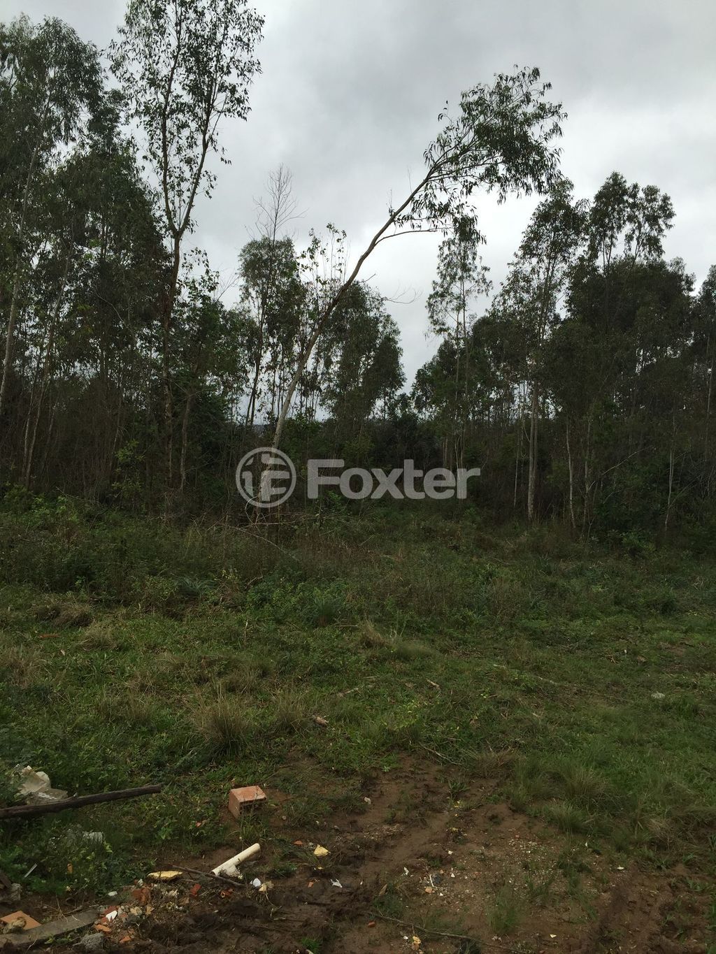 terreno lote condominio para comprar em do Rincão, 2820 - foto 6