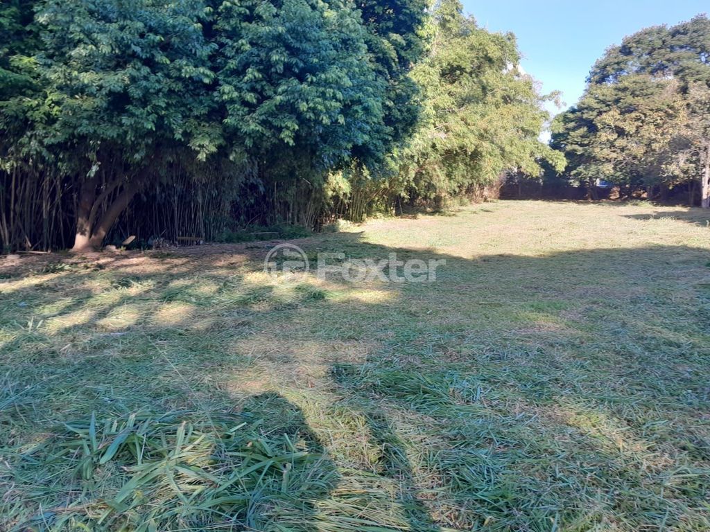 terreno lote condominio para comprar em Chico Pedro, 55 - foto 6