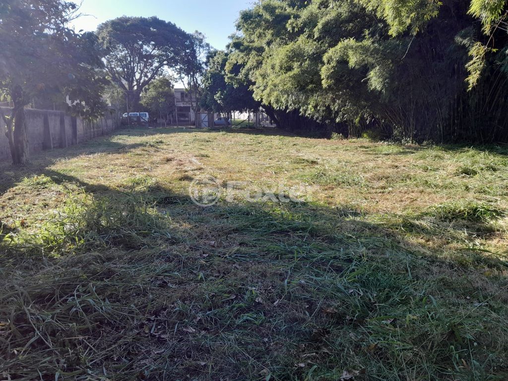 terreno lote condominio para comprar em Chico Pedro, 55 - foto 7