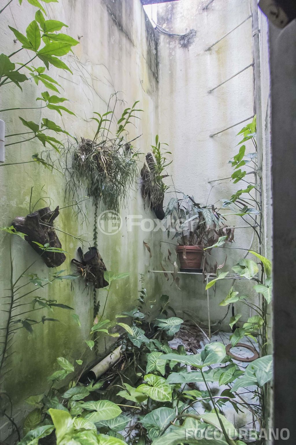 casa sobrado para comprar em Guilherme Alves, 1547 - foto 10