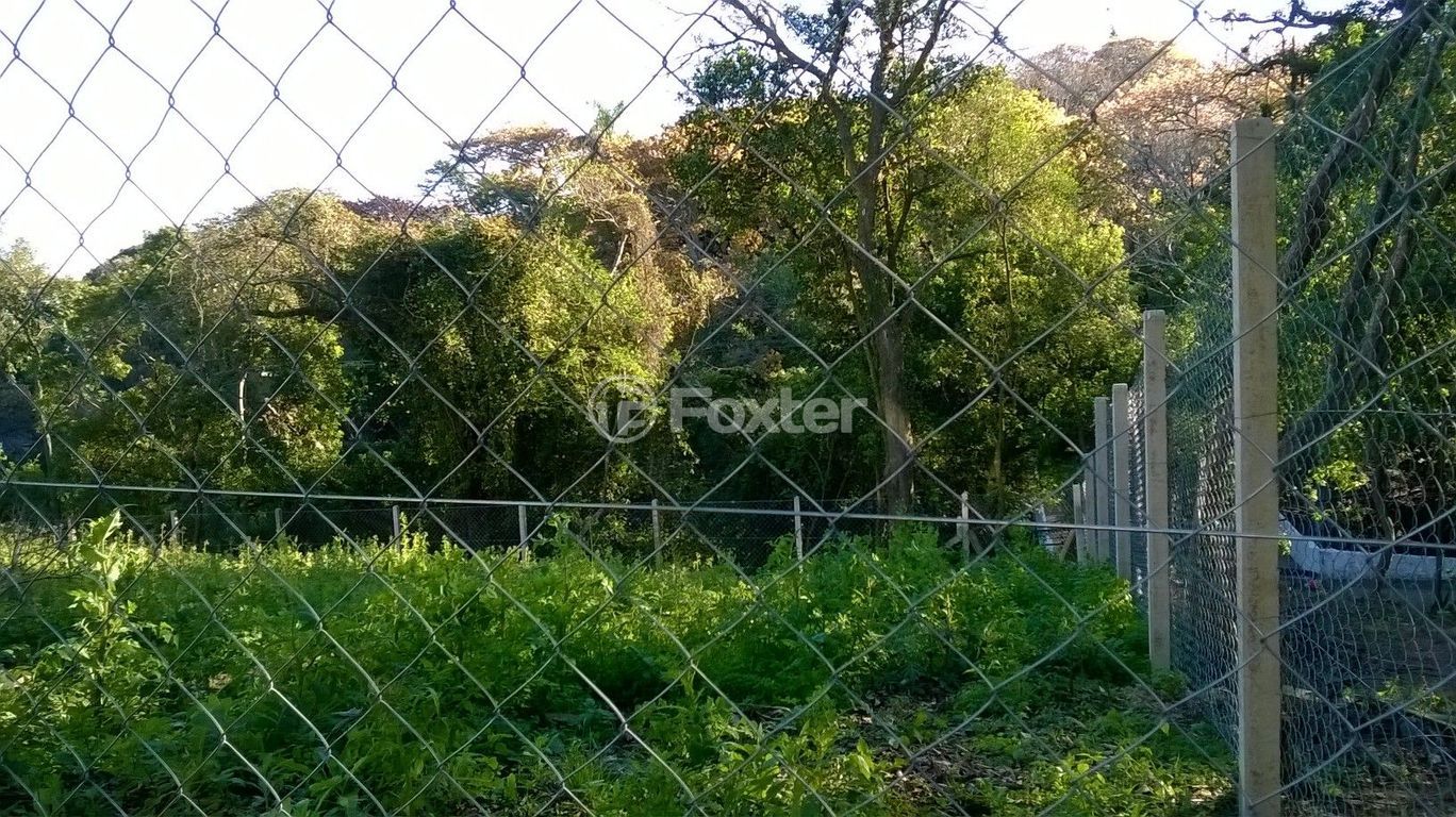 terreno lote condominio para comprar em Professor Xavier Simões, 185 - foto 11