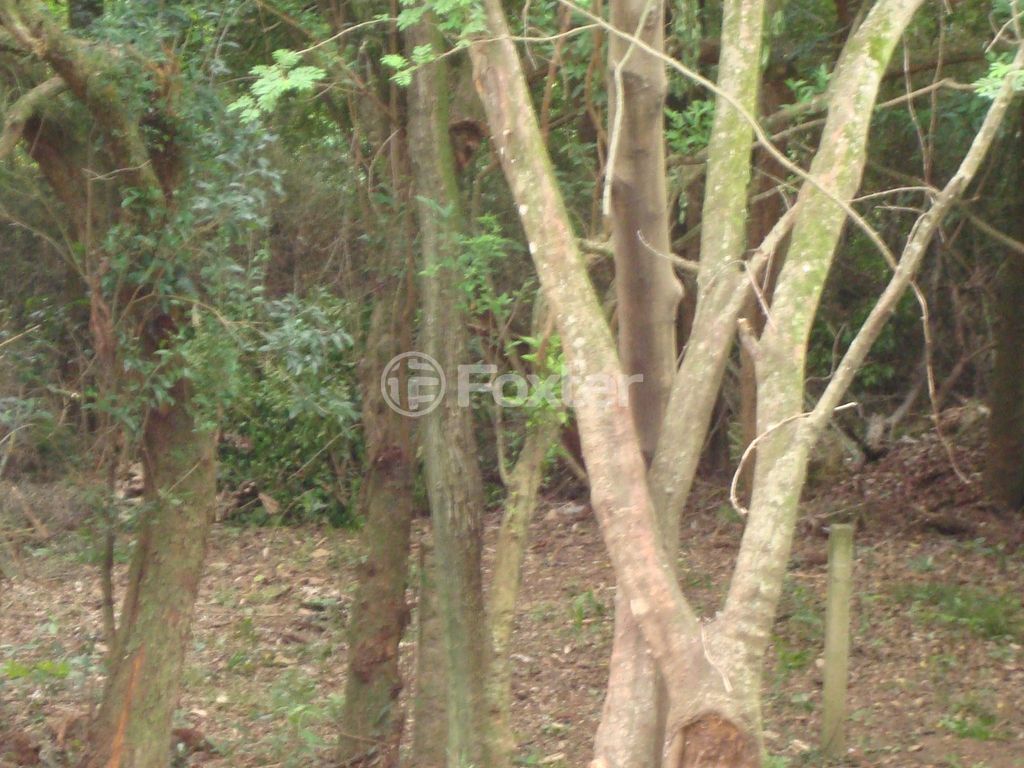 terreno lote condominio para comprar em Dário Totta, 420 - foto 13