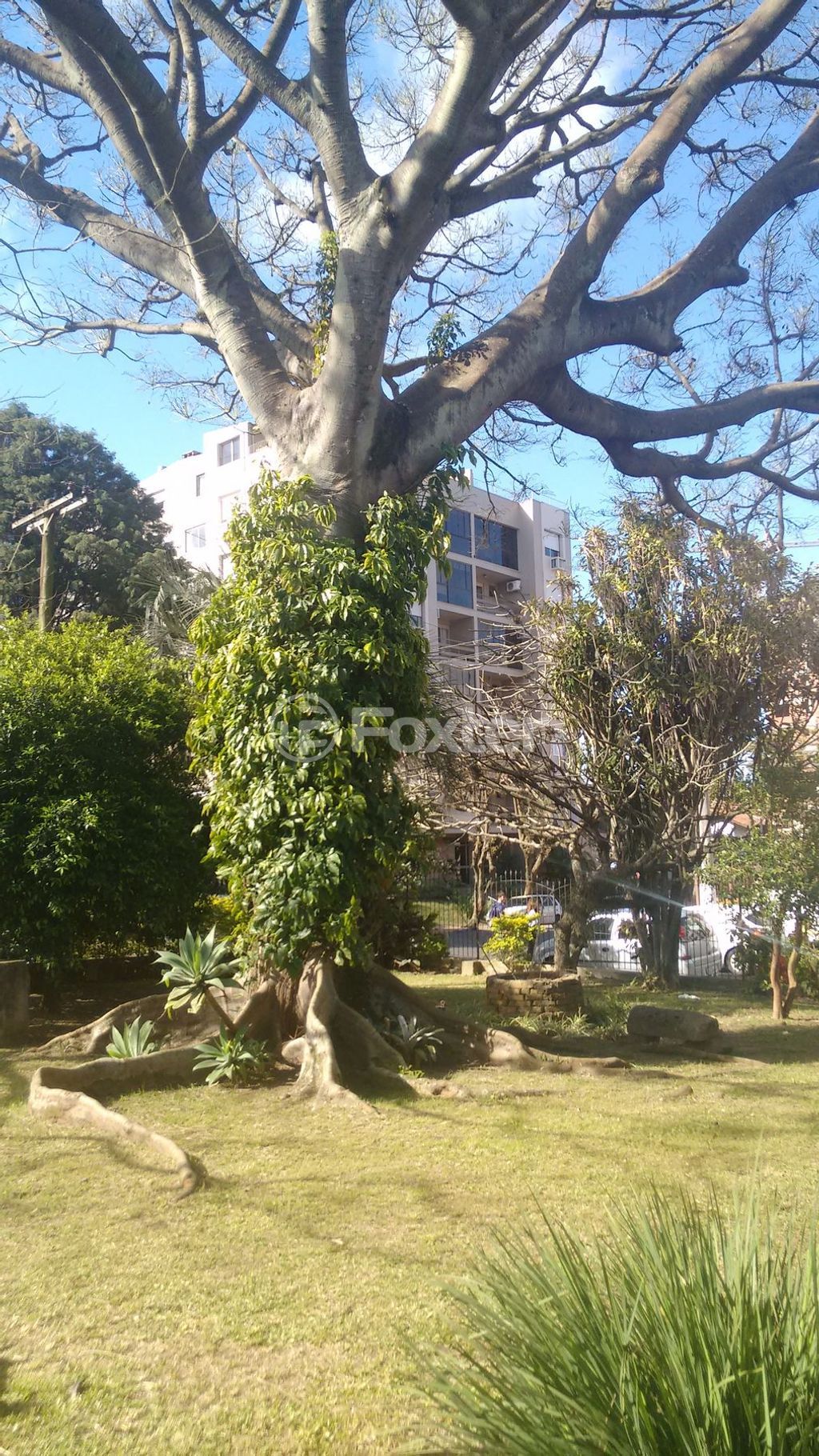 casa sobrado para comprar em Doutor Luís Bastos do Prado, 1888 - foto 7
