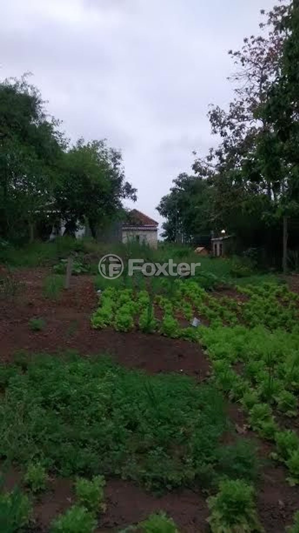terreno lote condominio para comprar em Erechim, 1120 - foto 16